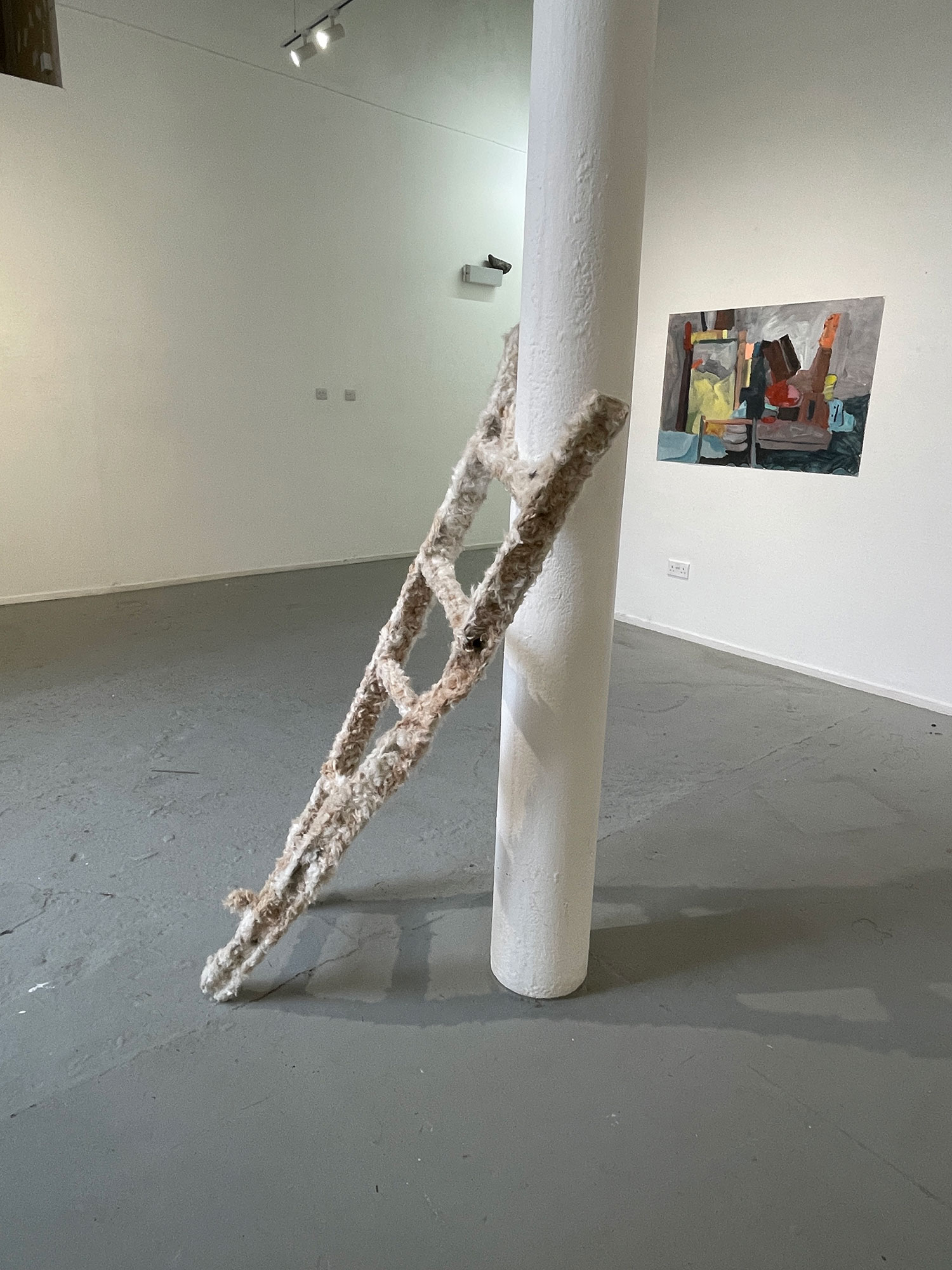 Susie Johnston & Ginny Elston, Objects of Conviction, steel ladder, dog hair, pva glue